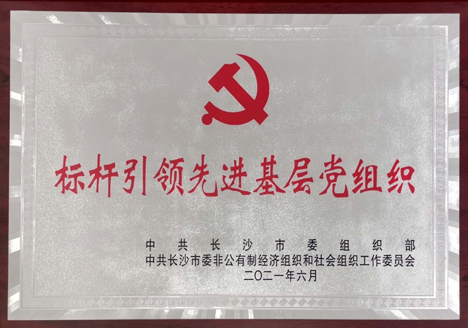 紅星喜獲長沙市兩新領域“三個一百”表彰